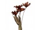 Artificial Flower 60 Cm Orange Plastic - 8*5*60 cm Clayre & Eef