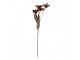 Artificial Flower 60 Cm Orange Plastic - 8*5*60 cm Clayre & Eef