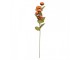 Artificial Flower 10x10x63 Cm Orange Plastic - 10*10*63 cm Clayre & Eef