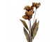 Artificial Flower 60 Cm Beige Plastic - 8*5*60 cm Clayre & Eef