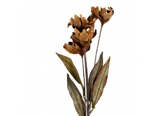 Artificial Flower 60 Cm Beige Plastic - 8*5*60 cm