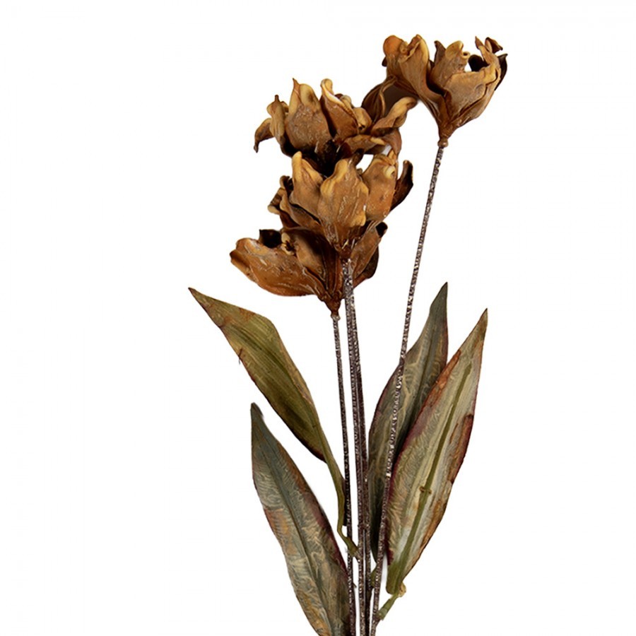Artificial Flower 60 Cm Beige Plastic - 8*5*60 cm