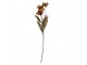 Artificial Flower 60 Cm Beige Plastic - 8*5*60 cm Clayre & Eef