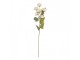 Artificial Flower 10x10x63 Cm White Plastic - 10*10*63 cm Clayre & Eef