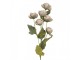 Artificial Flower 10x10x63 Cm Grey Plastic - 10*10*63 cm Clayre & Eef