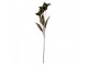 Artificial Flower 60 Cm Green Plastic - 8*5*60 cm Clayre & Eef