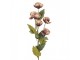 Artificial Flower 10x10x63 Cm Purple Plastic - 10*10*63 cm Clayre & Eef