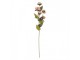 Artificial Flower 10x10x63 Cm Purple Plastic - 10*10*63 cm Clayre & Eef