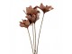 Artificial Flower 60 Cm Brown Plastic - 8*5*60 cm Clayre & Eef