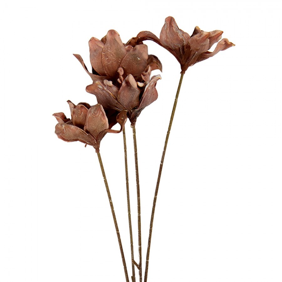Artificial Flower 60 Cm Brown Plastic - 8*5*60 cm