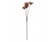 Artificial Flower 60 Cm Brown Plastic - 8*5*60 cm Clayre & Eef
