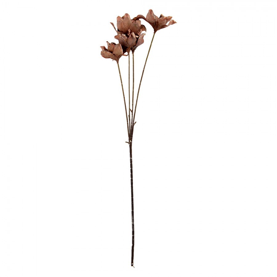 Artificial Flower 60 Cm Brown Plastic - 8*5*60 cm