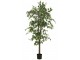 Dekorace umělá rostlina fíkus v květináči Ficus Tree - Ø 80*180 cm J-Line by Jolipa