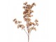 Dekorace umělá větvička s jemnými růžovými květy - 10*10*86 cm Clayre & Eef