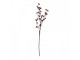 Artificial Flower 80 Cm Plastic - 8*8*110 cm Clayre & Eef