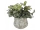 Planter ? 18x15 Cm Green Ceramic Flowers - ? 18*15 cm Clayre & Eef