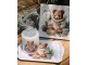 Bílý melaminový podnos s plyšovým medvídkem Cuddle Bear - 13*21 cm Ostatní