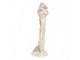 Béžová antik dekorace ptáček na notě - 8*4*13 cm Clayre & Eef