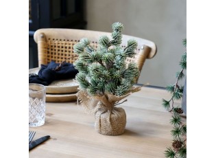Zelený ojíněný vánoční cedrový stromek v jutě Fleur Cedar Tree - 30 cm