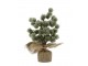 Zelený ojíněný vánoční cedrový stromek v jutě Fleur Cedar Tree - 30 cm Chic Antique