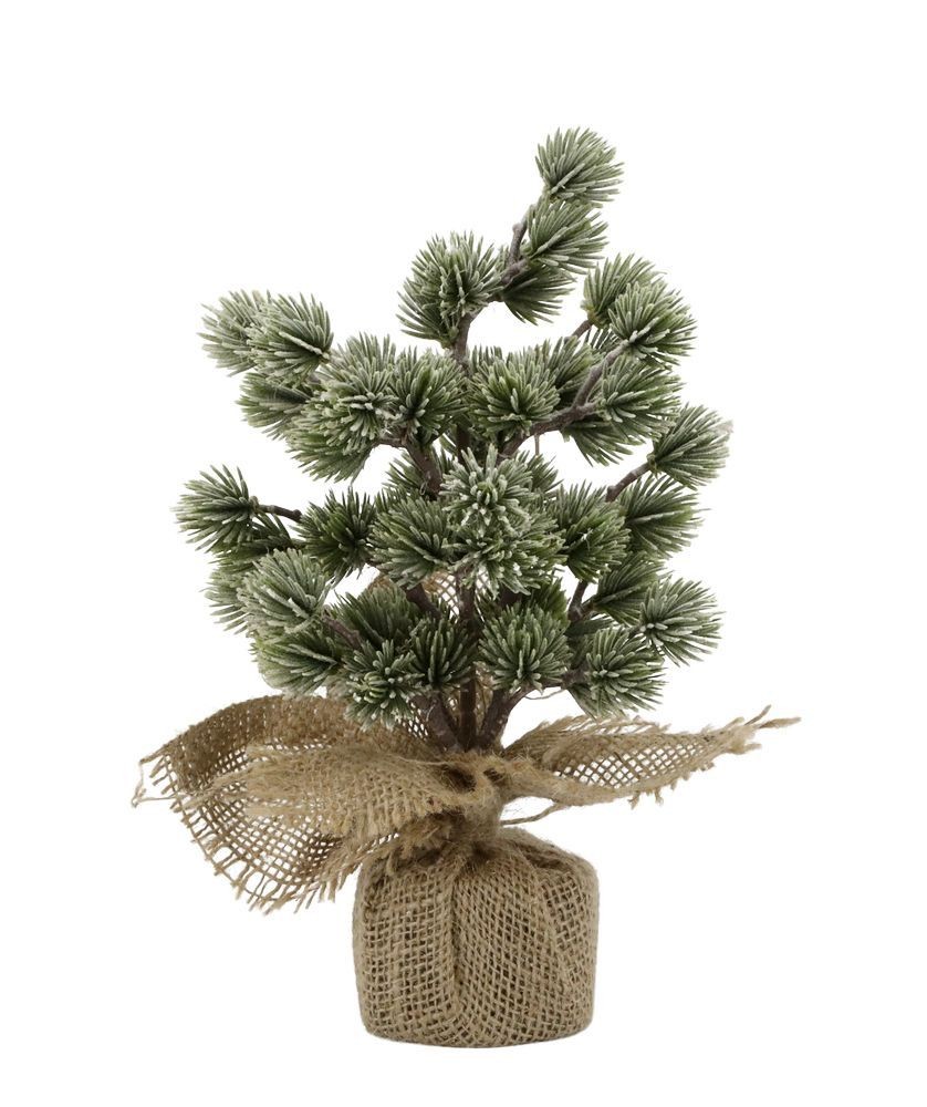 Zelený ojíněný vánoční cedrový stromek v jutě Fleur Cedar Tree - 30 cm