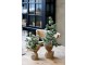 Zelený ojíněný vánoční cedrový stromek v jutě Fleur Cedar Tree - 30 cm Chic Antique