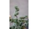 Zelený ojíněný vánoční cedrový stromek v jutě Fleur Cedar Tree - 30 cm Chic Antique