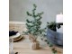 Zelený ojíněný vánoční cedrový stromek v jutě Fleur Cedar Tree - 30 cm Chic Antique