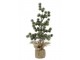 Zelený ojíněný vánoční cedrový stromek v jutě Fleur Cedar Tree - 30 cm Chic Antique