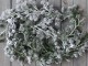 Vánoční zasněžená cedrová girlanda Cedar Garland - 180 cm Chic Antique