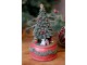 Višňovo-zelená antik hrací skříňka stromek Noël - Ø 10*18,5 cm Chic Antique