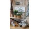 Hnědá dřevěná dekorace lyže Ski Vintage - 5,5*120 cm Chic Antique