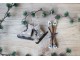 2ks přírodní antik vánoční ozdoba brusle a lyže Vintage - 2*14/ 9*2*9 cm Chic Antique