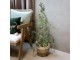 Zelený vánoční borovicový stromek v květináči se světýlky Pine Tree - 90 cm Chic Antique