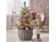 Béžová dekorace Louskáček Nutcracker s LED světýlky - 14*14*49 cm / 3*AA Clayre & Eef