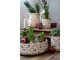 Béžový keramický obal na květináč s cesmínou Holly - Ø 13*13 cm Chic Antique