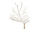 Zlatý veliký kovový dekorační strom Tree Gold - 255*255*250 cm J-Line by Jolipa