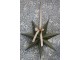 Olivová papírová hvězda Vintage Paper Star - 60 cm Chic Antique