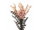 Artificial Flower 103 Cm Pink Plastic - 20*20*103 cm Clayre & Eef