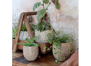 Latté obal na květináč se vzorem Gaston - Ø 14*14 cm