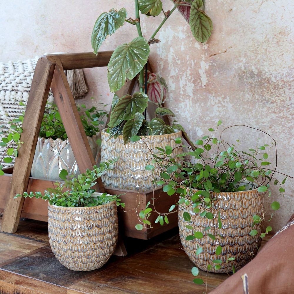 Latté obal na květináč se vzorem Gaston - Ø 14*14 cm Chic Antique Latté obal na květináč se vzorem Gaston - Ø 14*14 cm Chic Antique