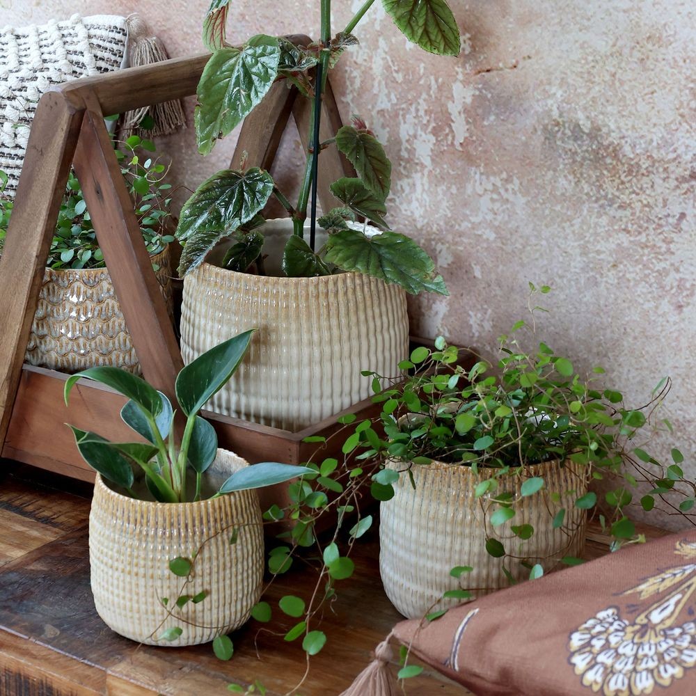 Latté obal na květináč s vroubkovaným vzorem Gaston - Ø 19*17 cm Chic Antique Latté obal na květináč s vroubkovaným vzorem Gaston - Ø 19*17 cm Chic Antique