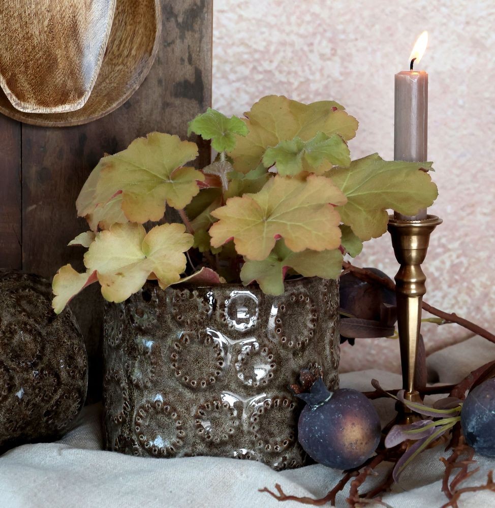 Coffee obal na květináč se vzorem Gaston - Ø 15*13 cm Chic Antique Coffee obal na květináč se vzorem Gaston - Ø 15*13 cm Chic Antique