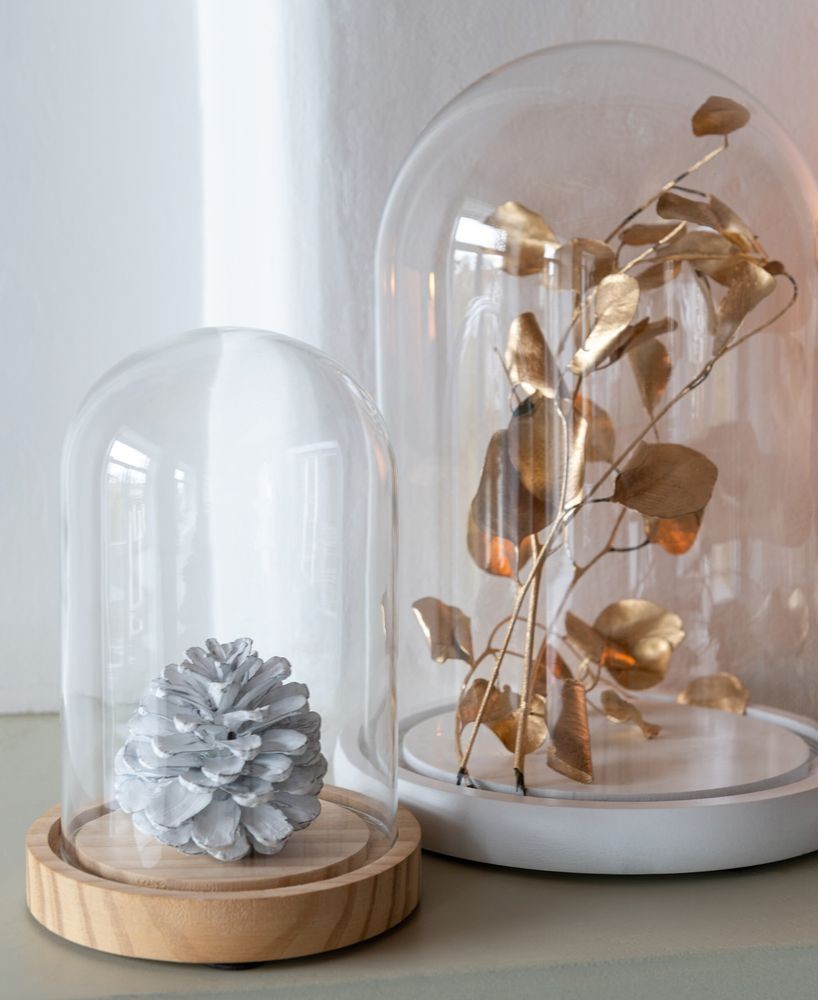 Přírodní dřevěný podnos se skleněným poklopem Bell Jar S - Ø 11*16 cm