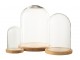 Přírodní dřevěný podnos se skleněným poklopem Bell Jar S - Ø 11*16 cm J-Line by Jolipa