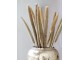 Dekorace sušená rostlina svazek 10ks perlové proso - 60 cm Chic Antique