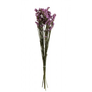 Sušený dekorativní trs statice - 13*5*69 cm