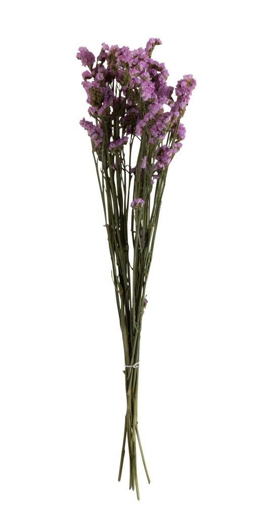 Levně Sušený dekorativní trs statice - 13*5*69 cm 2621