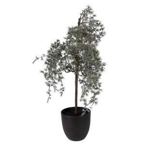 Dekorace cedrový stromek v květináči Cedar M - 30*30*60 cm