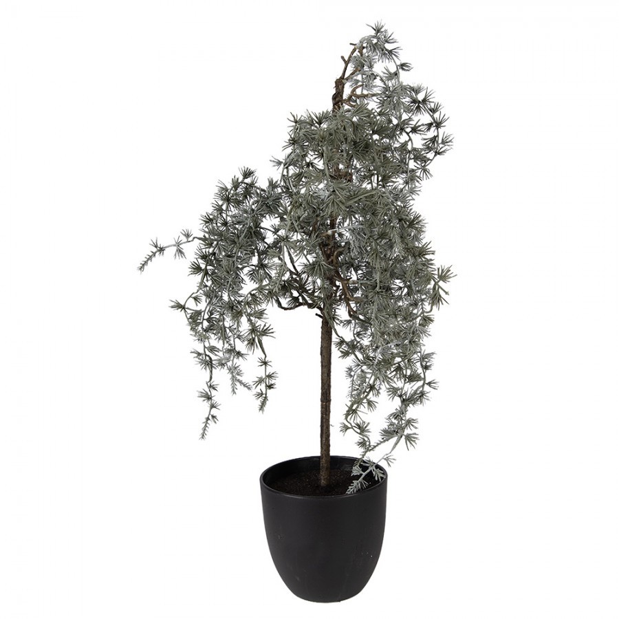 Dekorace cedrový stromek v květináči Cedar M - 30*30*60 cm